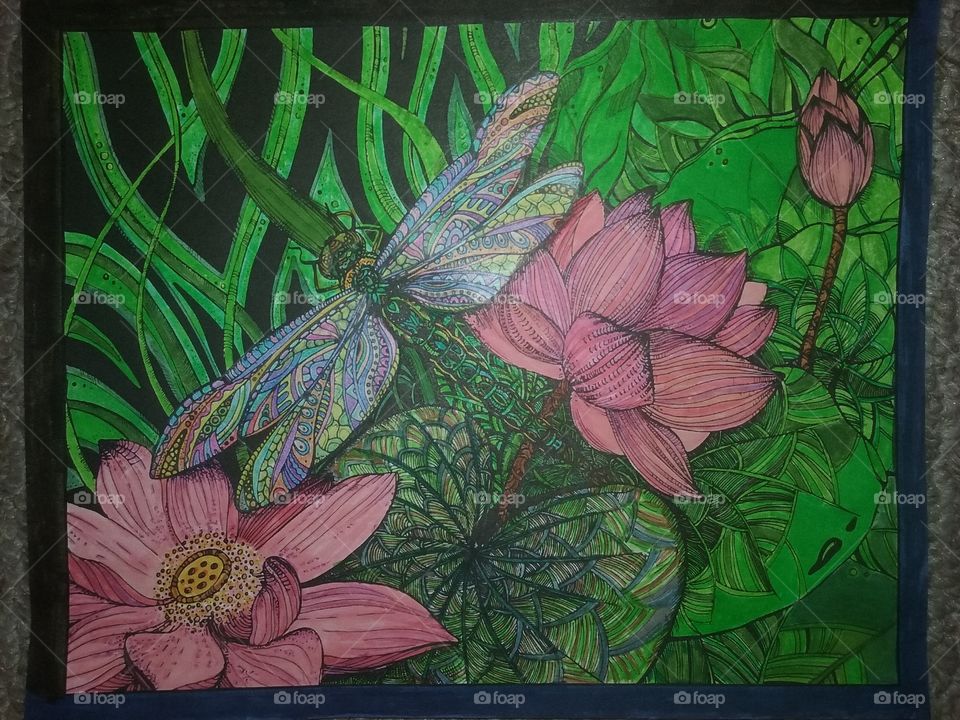 dragonfly, colored with markets and color pincles