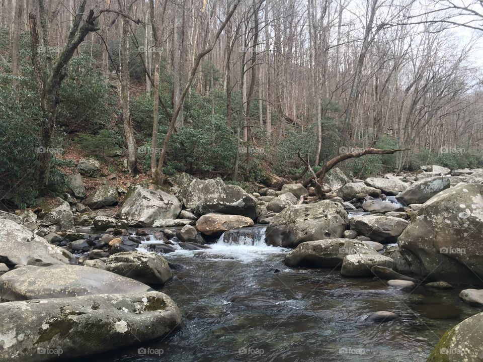 Gatlinburg Hike