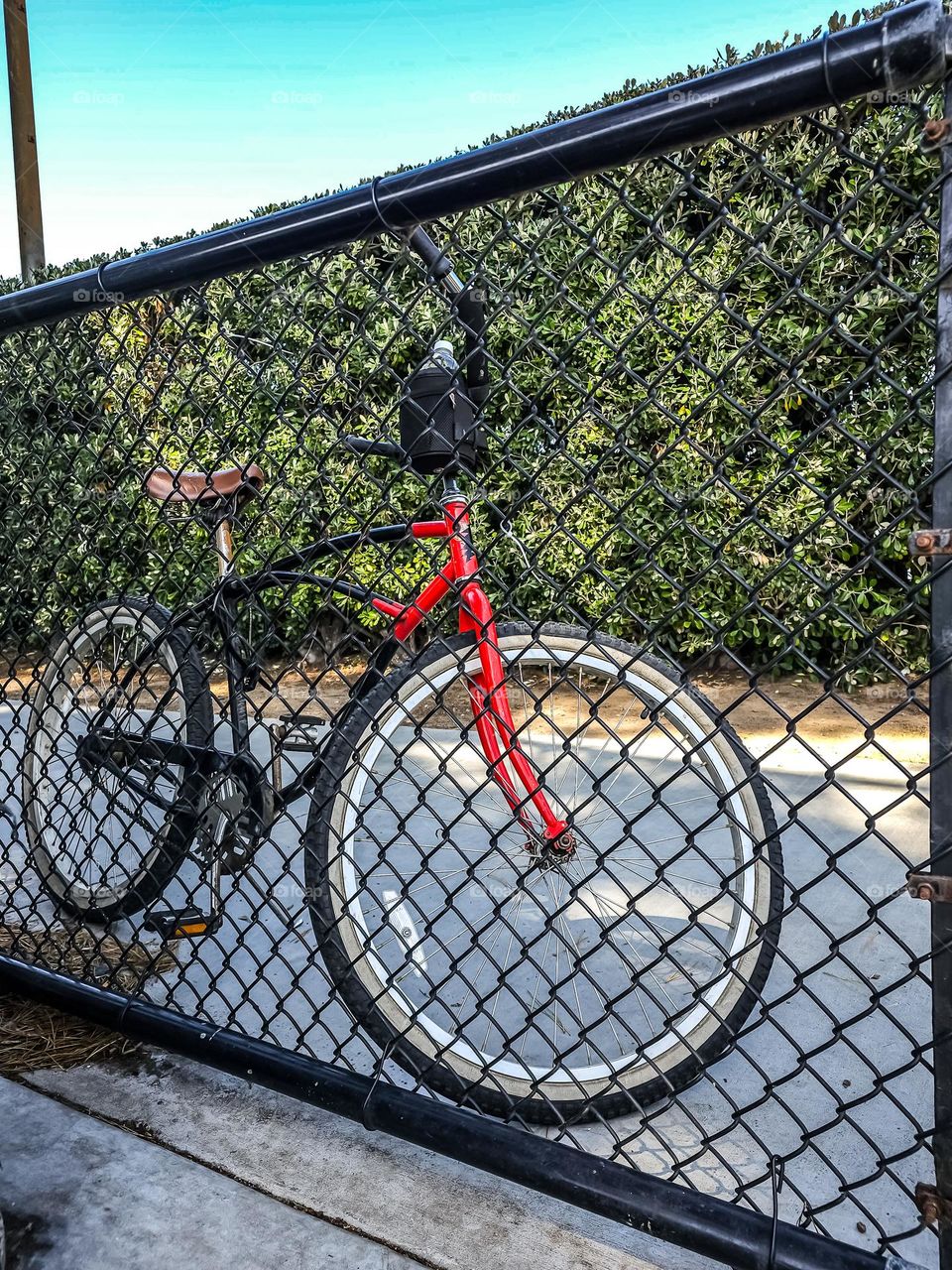 Black and red bicycle behind a black chain link fence in the park, by the dog park