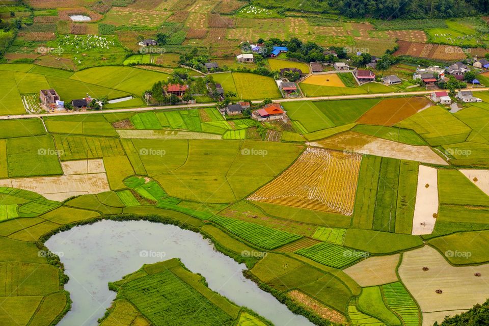 Bac Son rice valley in harvest season with colorful of rugs . Bac Son  is the one of ten beautiful rice valley in the world.