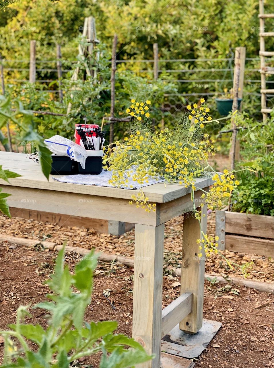 Vegetable garden table