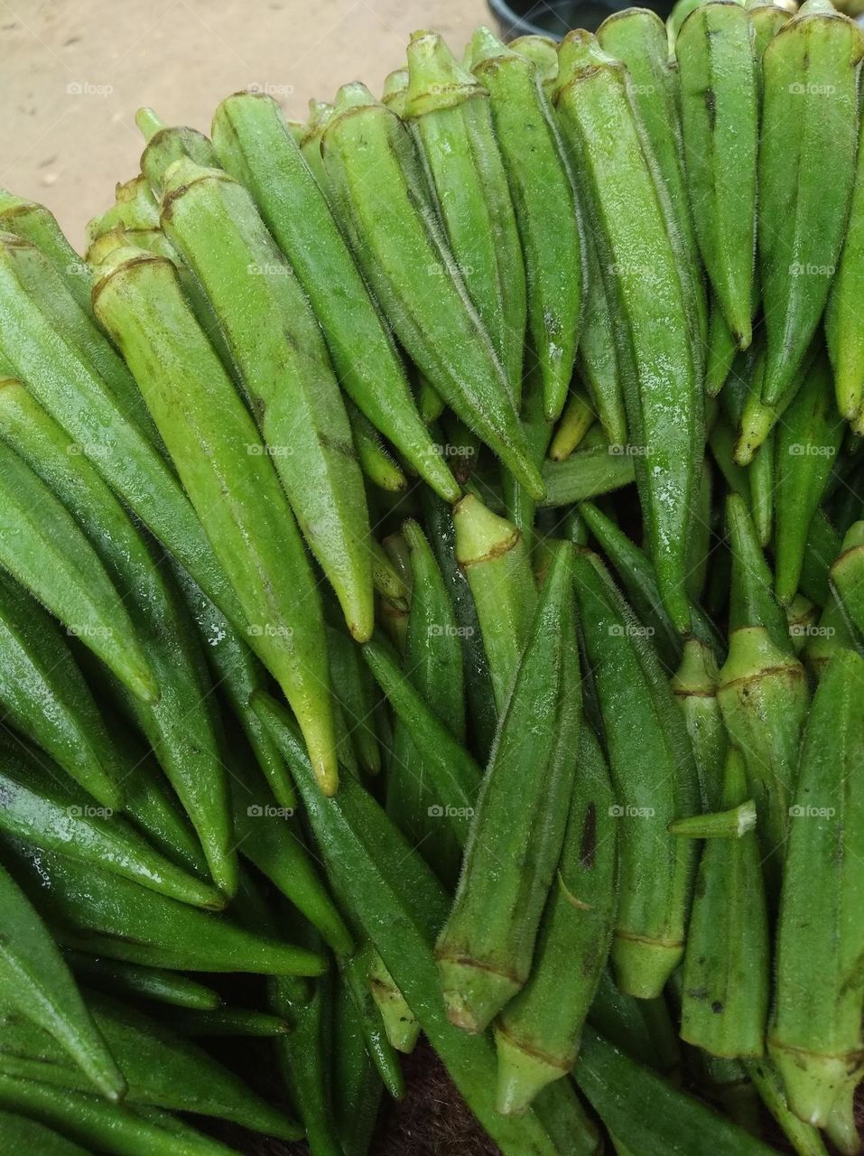 ladyfinger, bhindi green, vegitable mostly use with other vegitable very nutritious vegetables