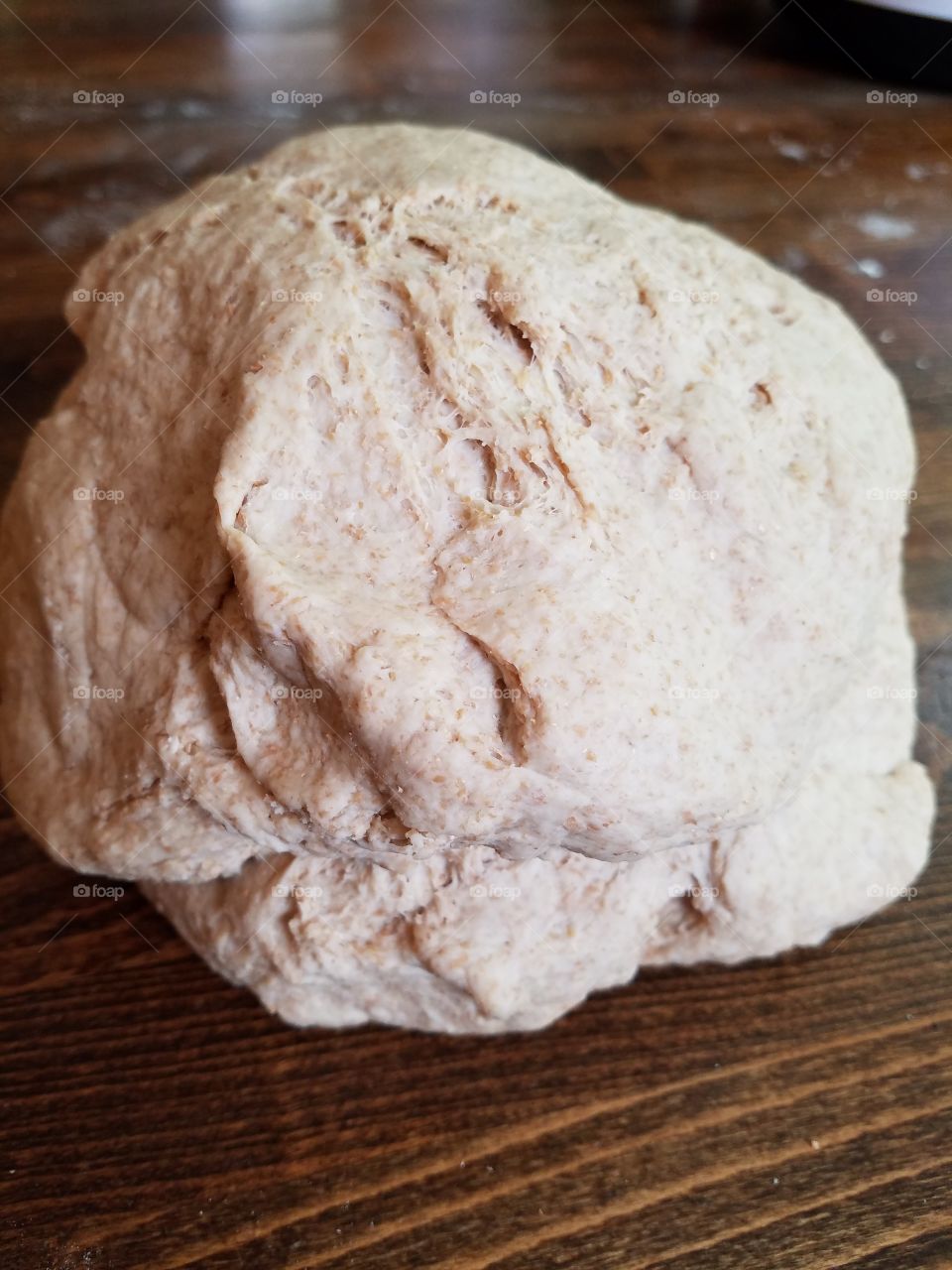 Wheat bread dough