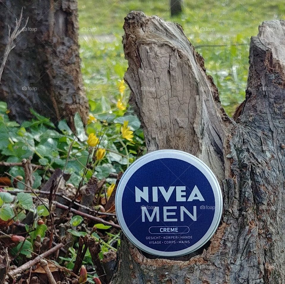 baum frühling nivea blume