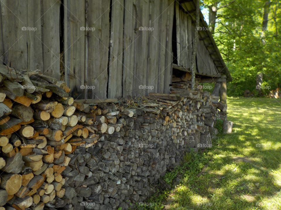 Shadows and firewood 