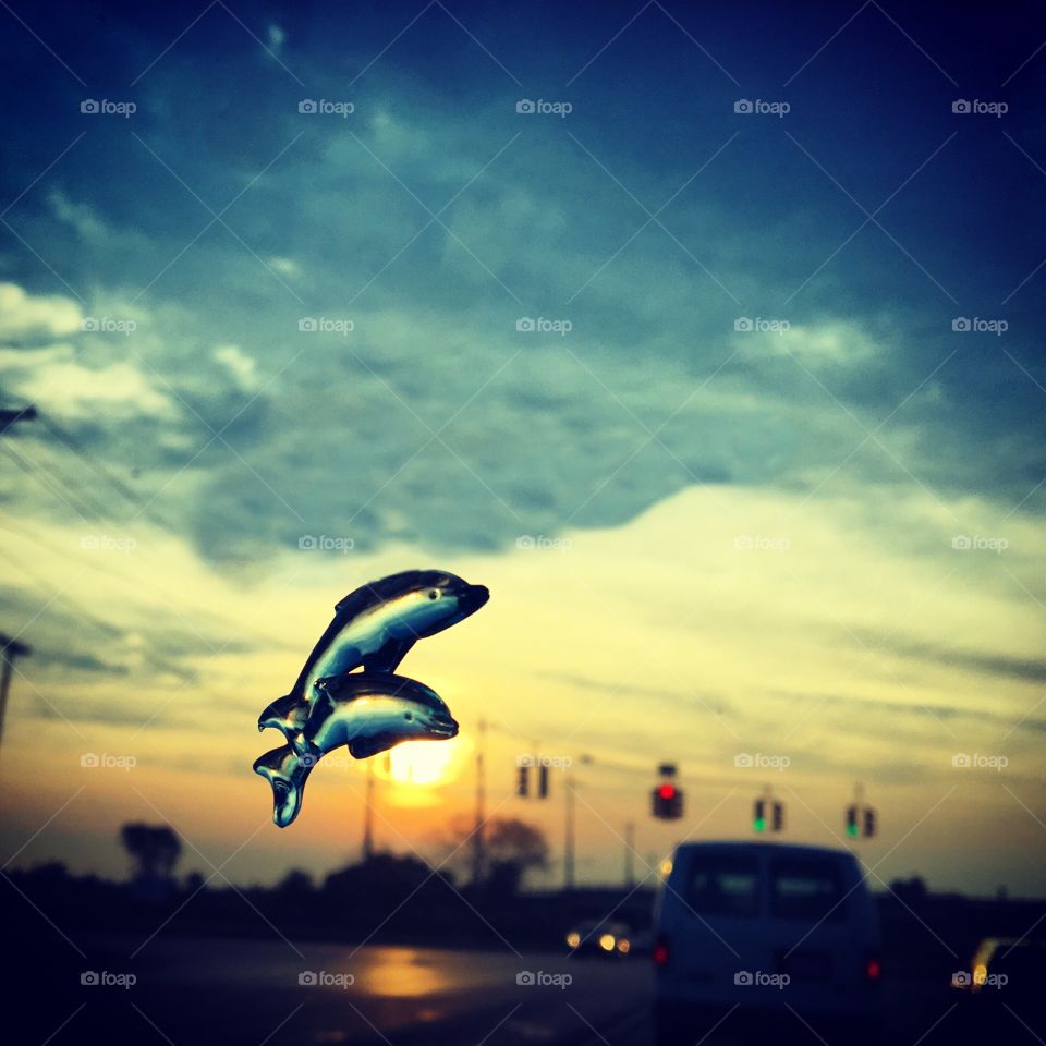 Dolphins swimming through the sky