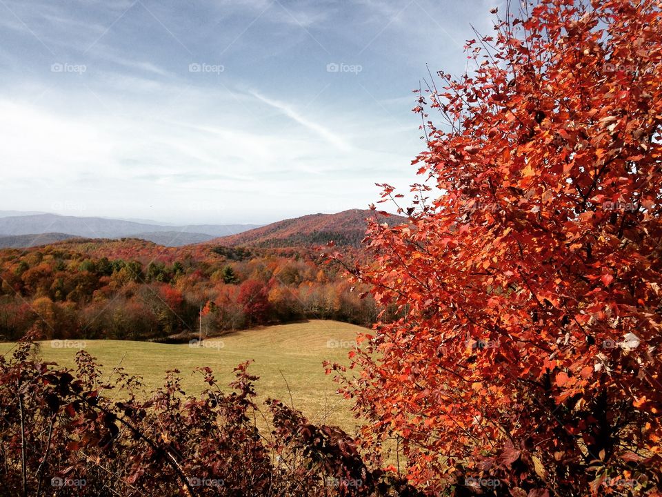 Appalachian Fall Colors