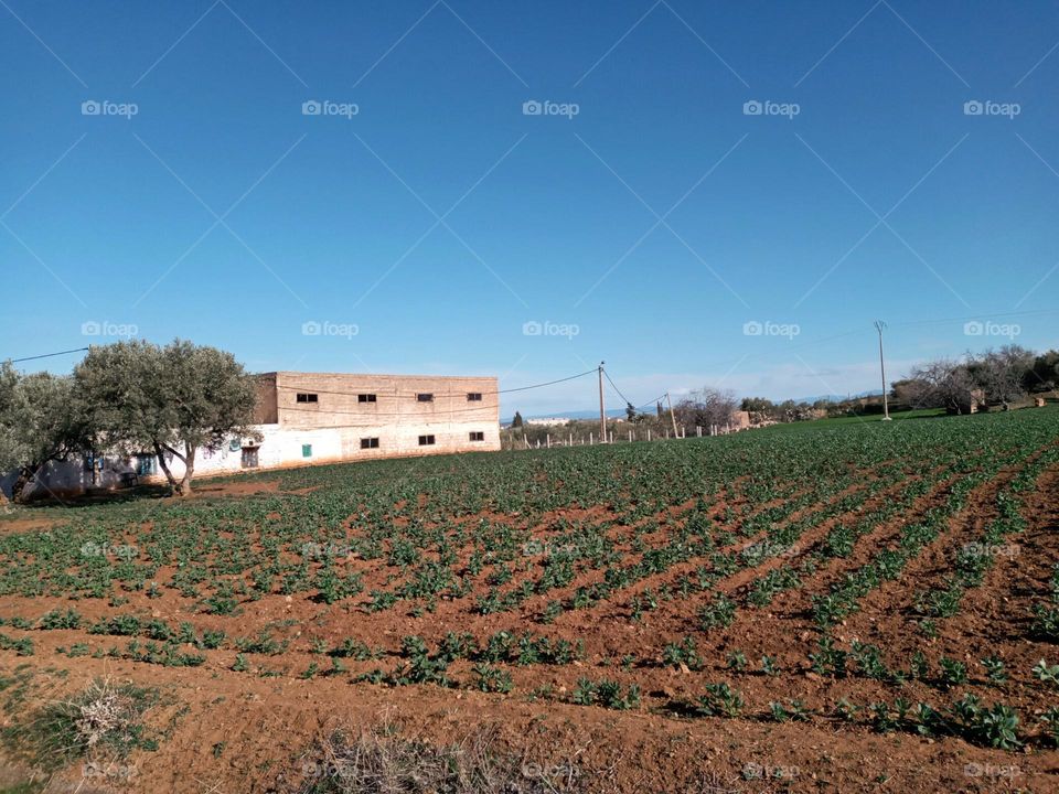 Population between the nature