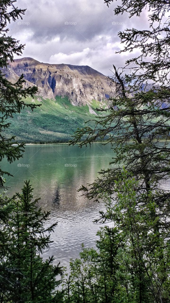 Elegantly cloaked in emerald green, one of Alaska's mountain lakes shimmers in the summer sun.