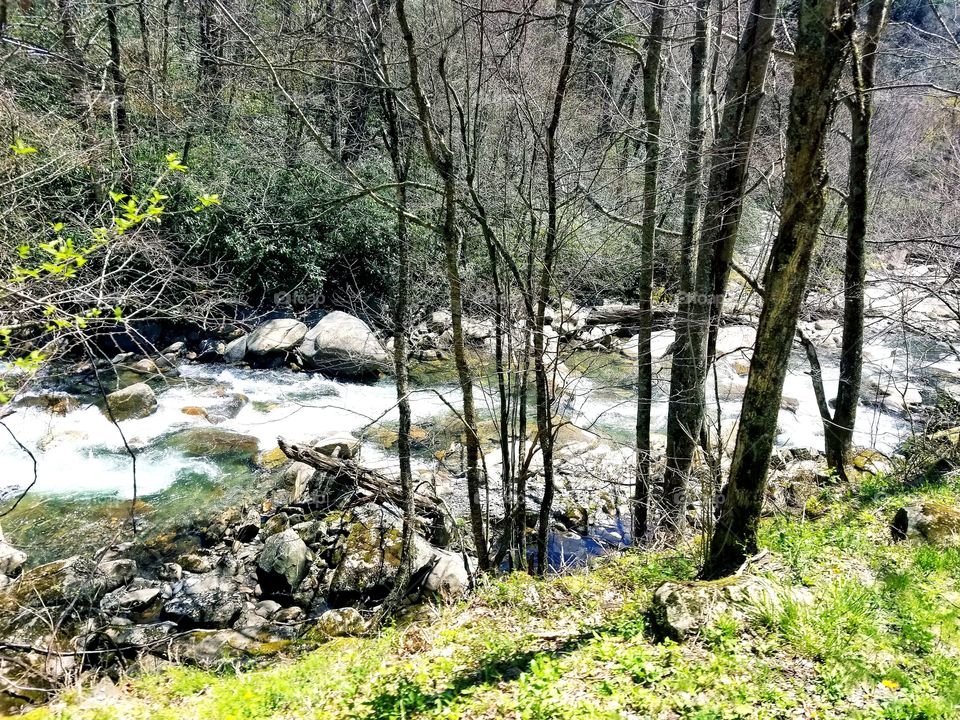 Idealic nature view of flowing river within gorgeous scenic wooded area of The Great Smoky Mountains national Park.
