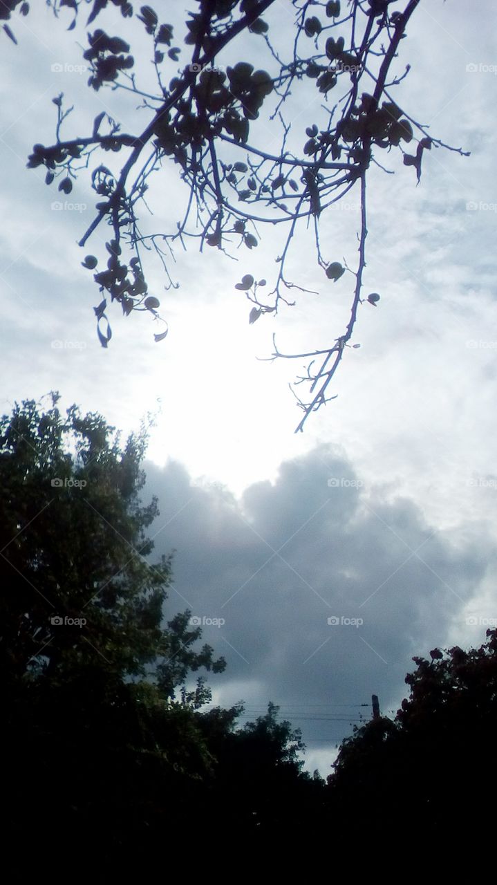 landscape in  rainday