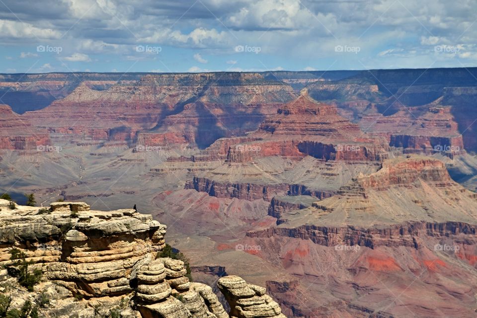 Tourist at the grand canyon