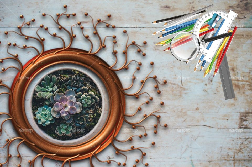 beautiful white desk with plants  or white background photography