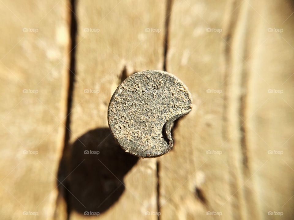 Macro closeup of a nail