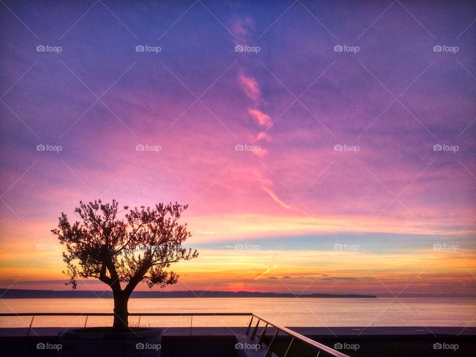 Scenic view of the single tree at the balcony against the background of beautiful colorful sunset sky at summer time. Slovenia seaside's.