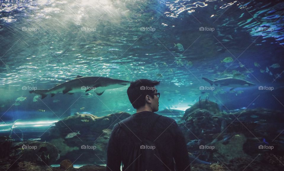 Person standing against glass aquarium