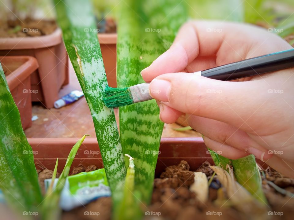 painting natural plants in green