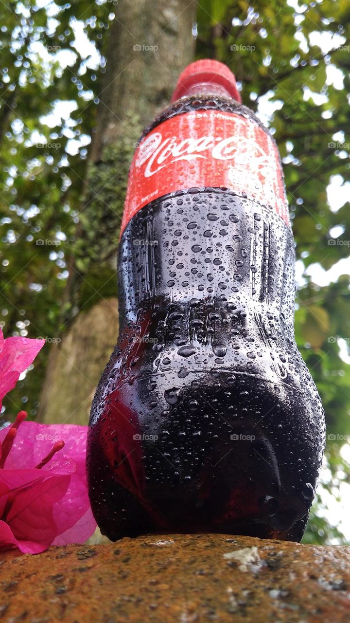 Coca-Cola
