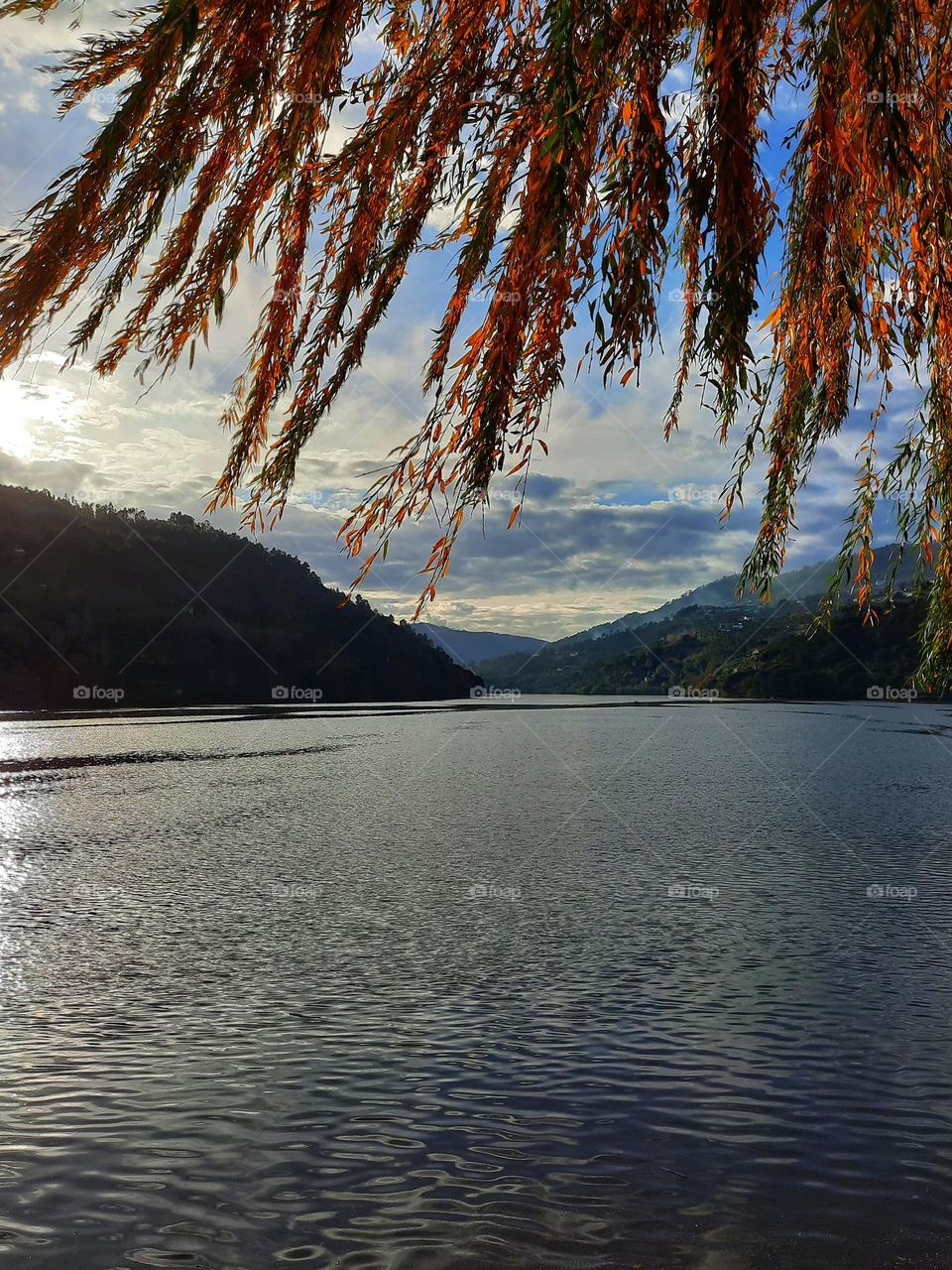 Douro river, Pala, Baião, Portugal