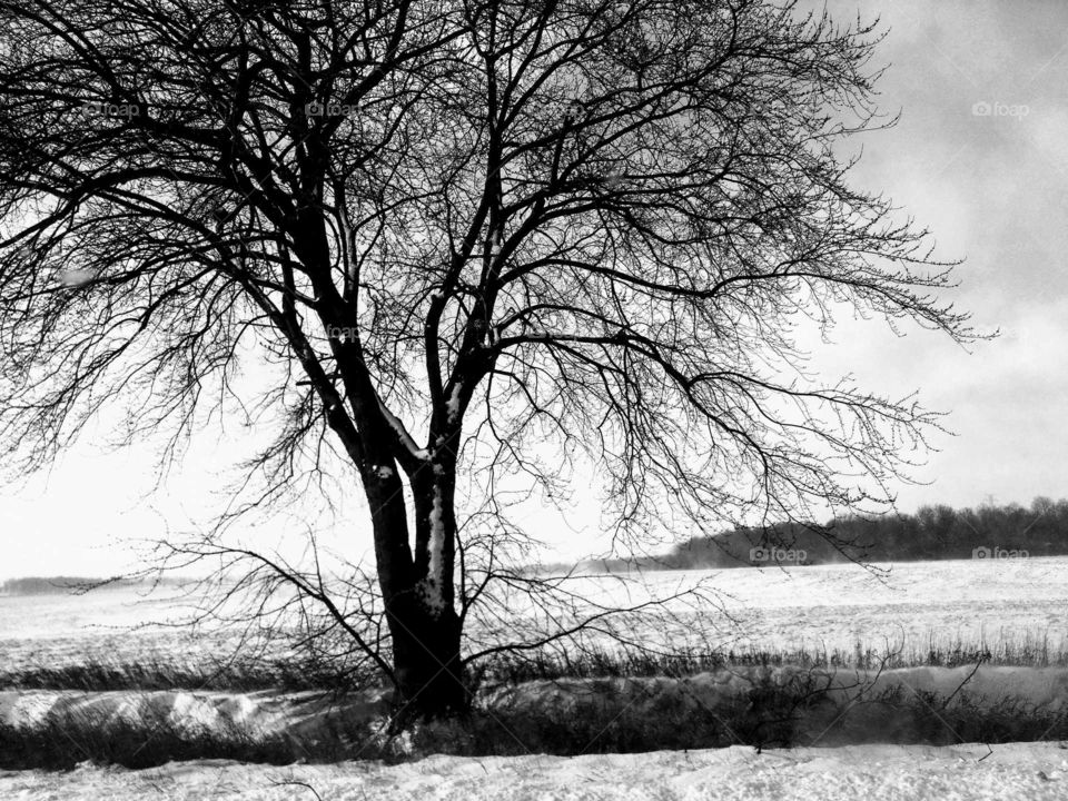 Tuesday Afternoon December 12. First Snow Fall