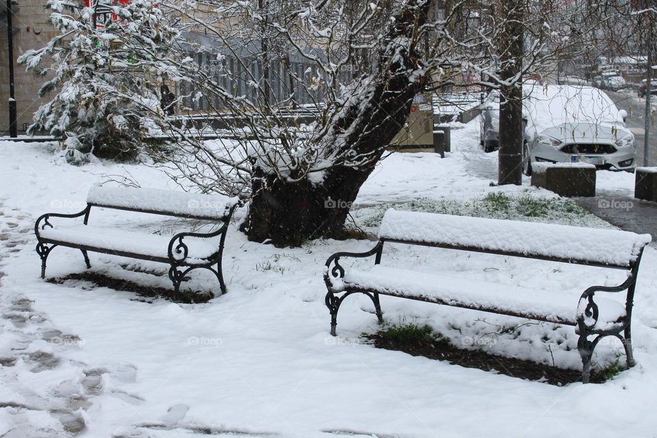 Side view of two snow-covered benches.  city park