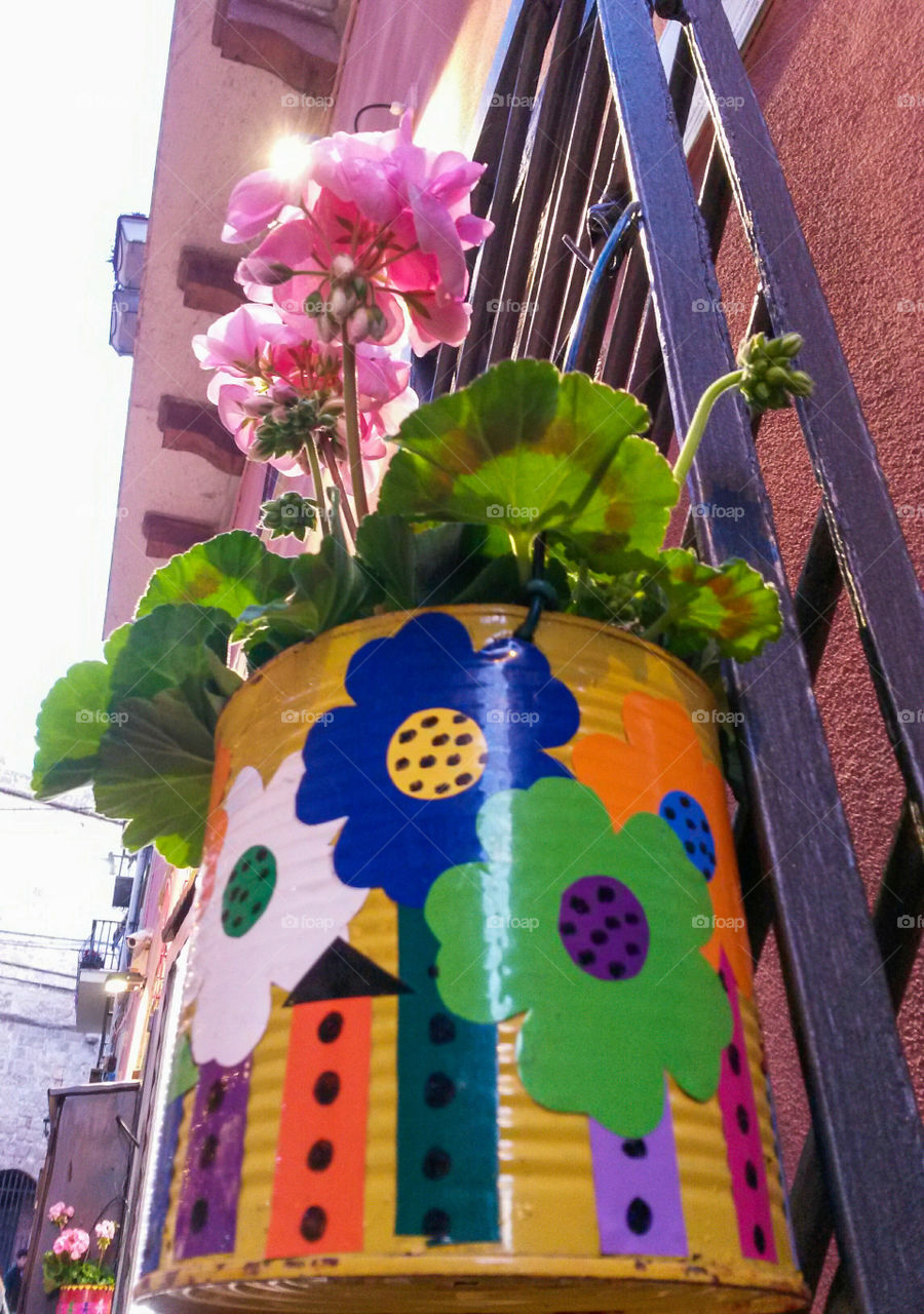 colored House pot With flower plant