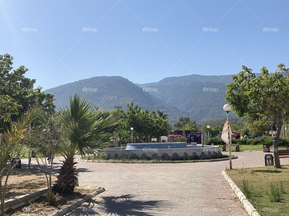 Beach time on holidays. Blue sky and tall palm trees. Sunsets and sunny days. Summertime in Kusadasi. Vacation travel in Turkey . Summer view. Sunny day during vacation 