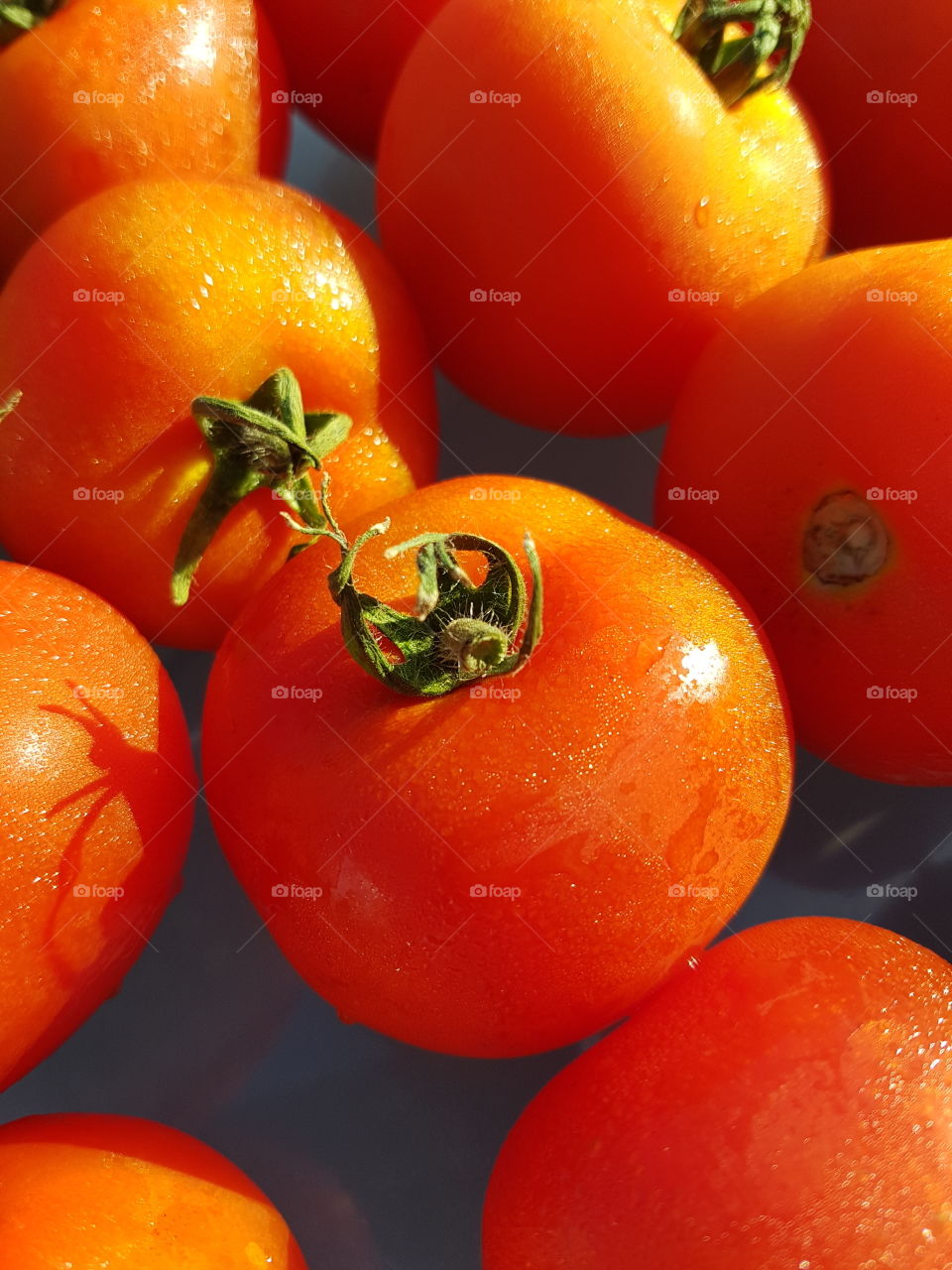 Fresh Home Grown Tomatoes