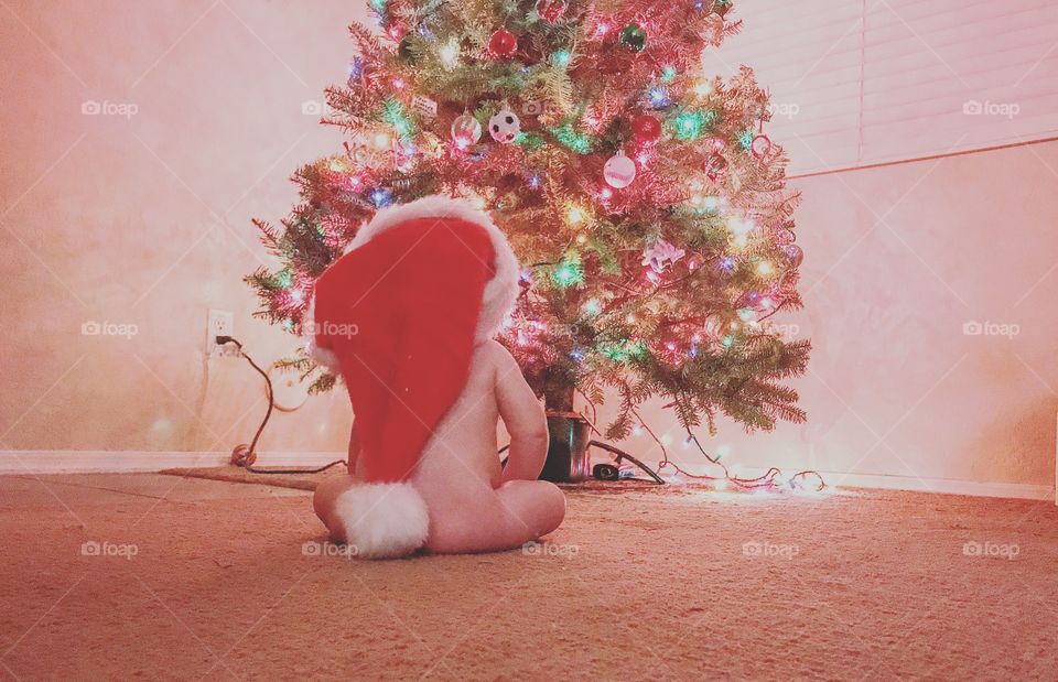 Baby wearing a Santa Hat looking at a Christmas Tree 