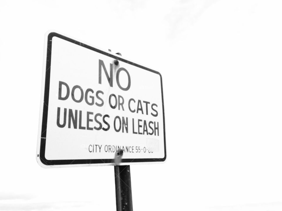 No cats