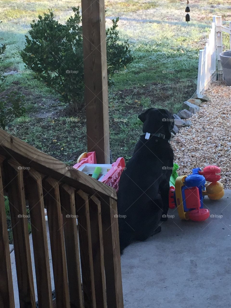 I will guard the kids toys