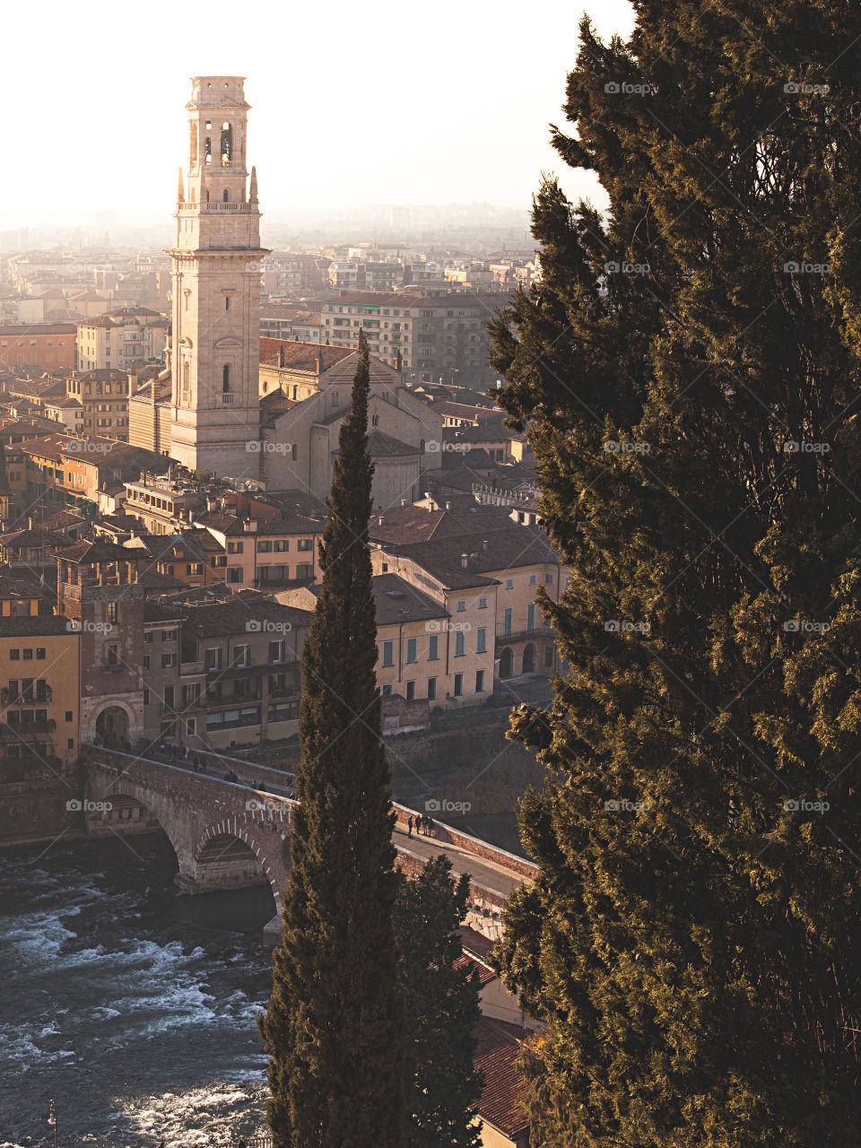 Verona top view