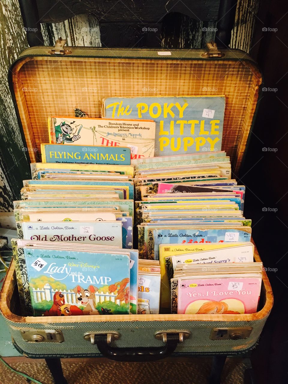 Collection of kids books 