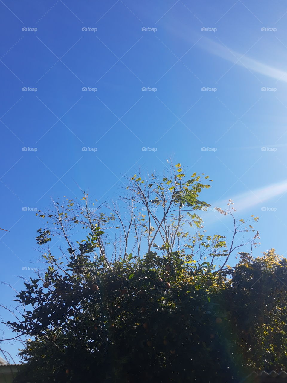 sunshine at the blue skyes