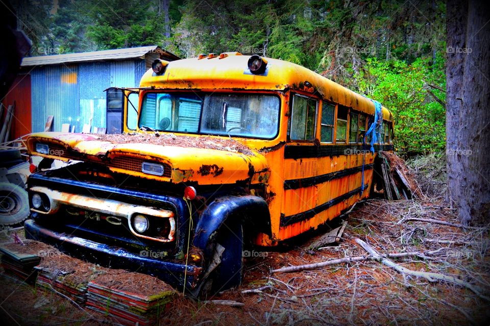 Rusted Schoolbus