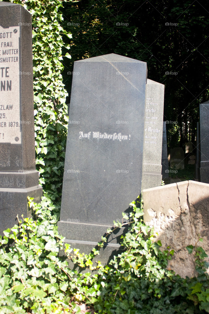 Berlin cemetery