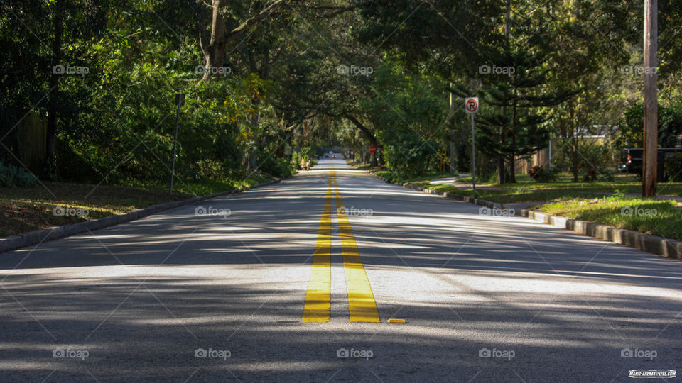 Empty Road