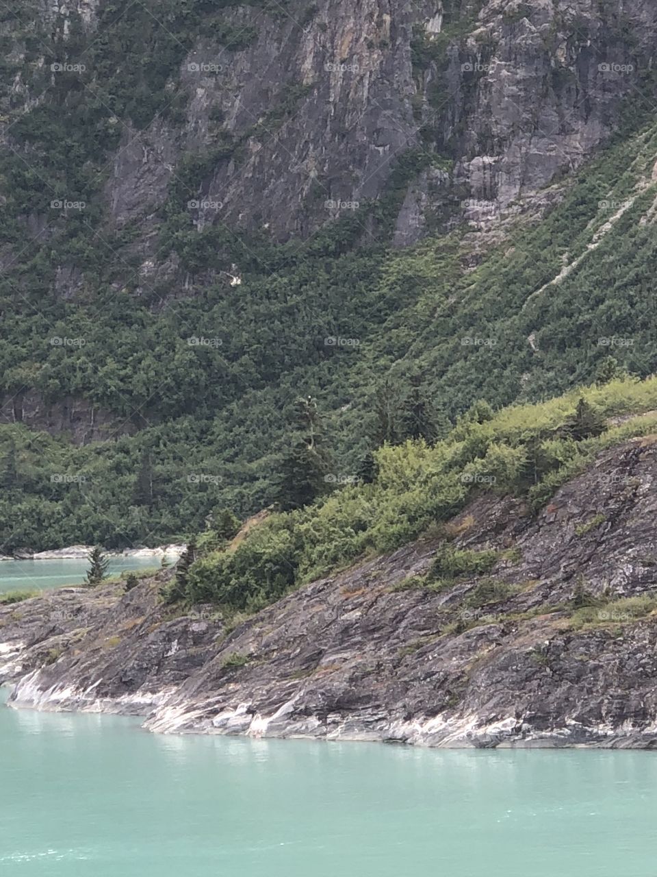 Tracy Arm Fjord Island