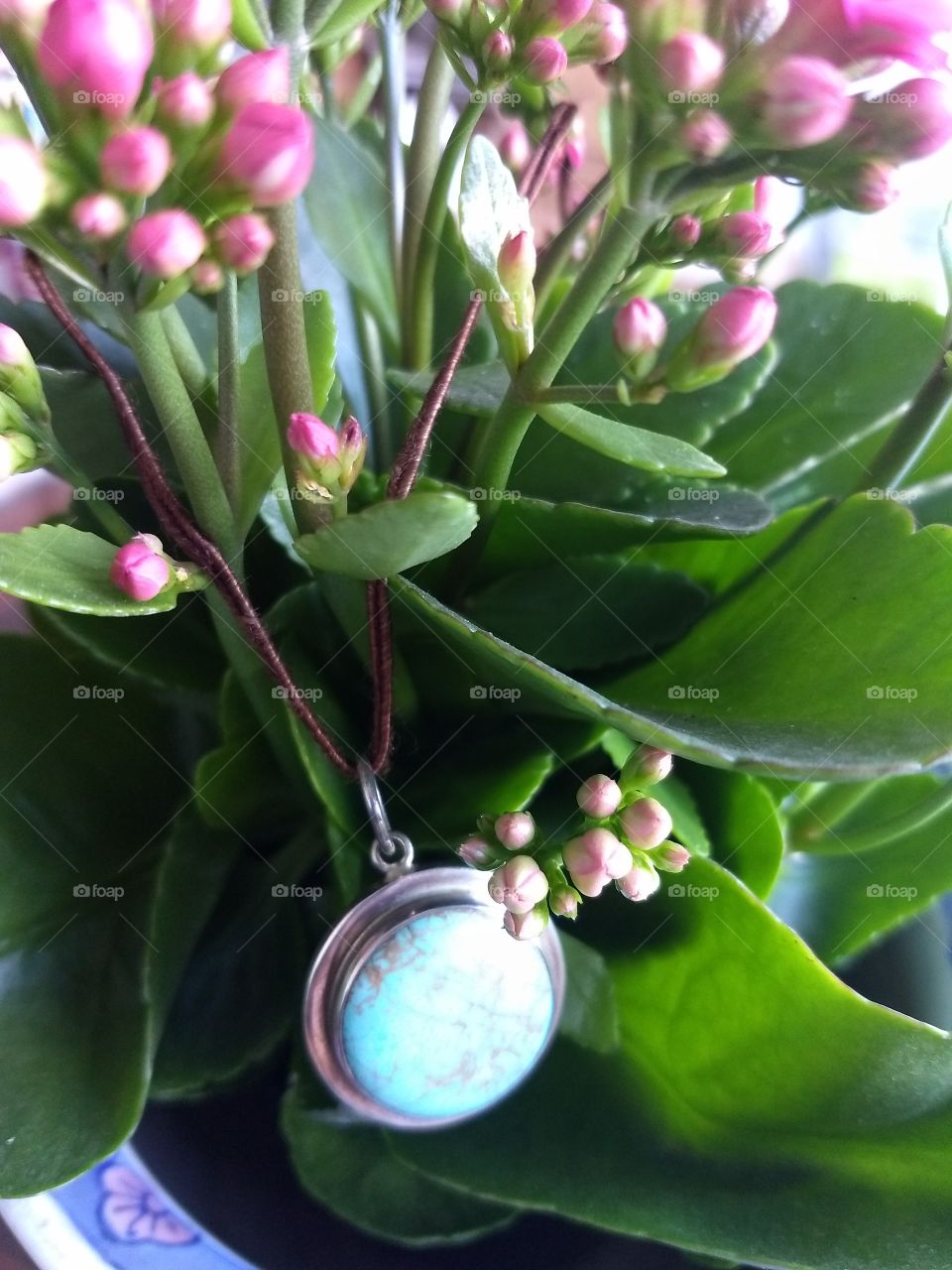 kalanchoe and silverjewelry with howlite