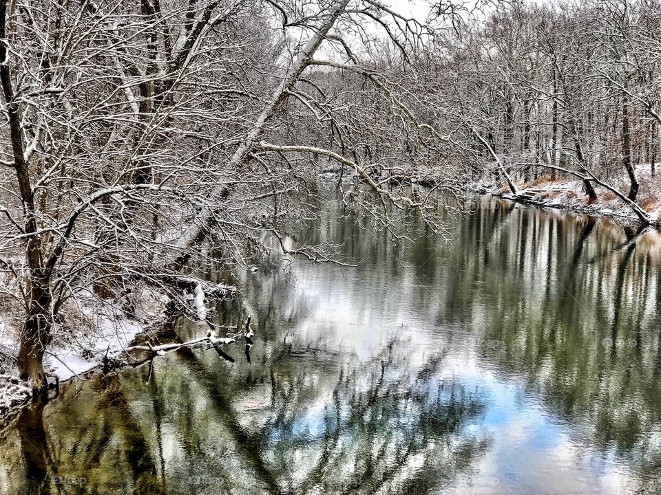 Trees and idyllic lake during winter