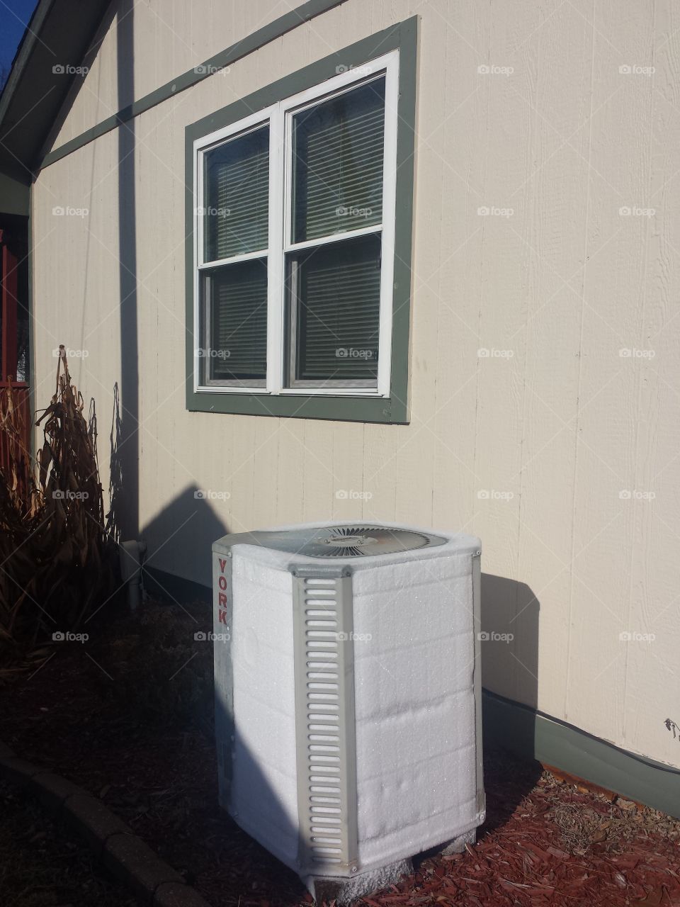 little dream house views