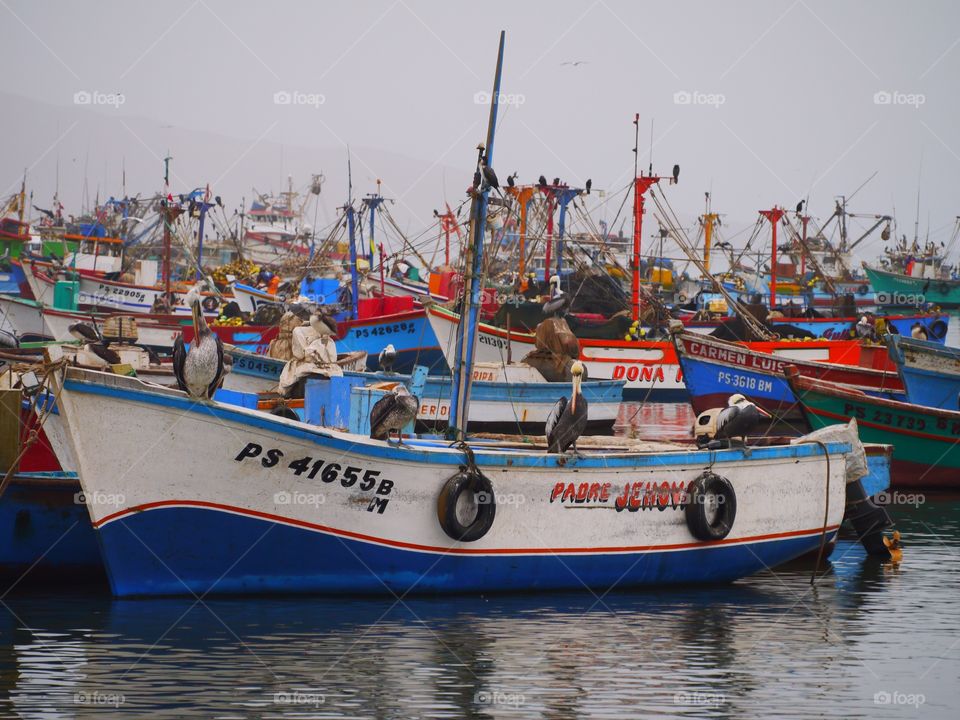 Fishing boat