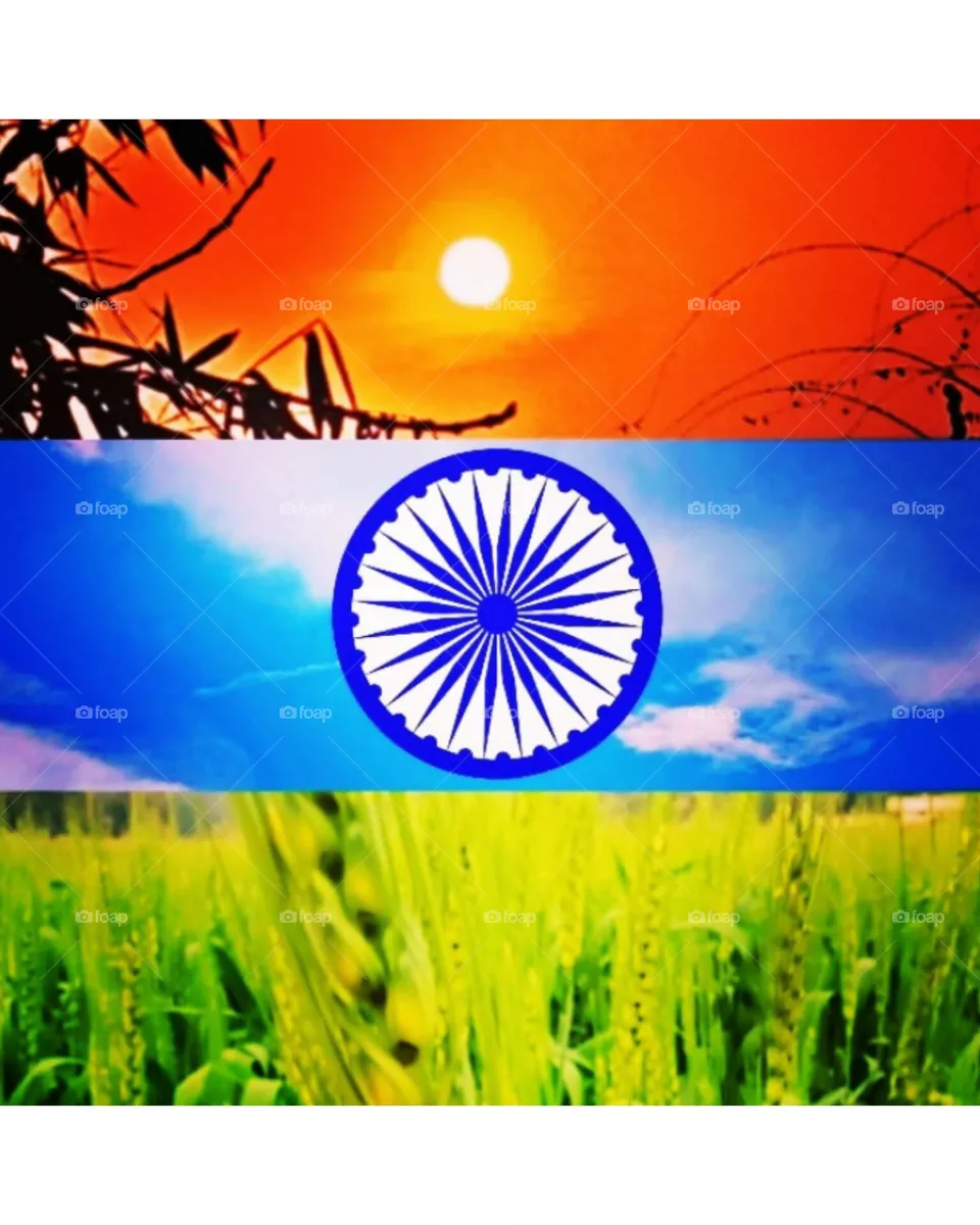 The Indian flag
