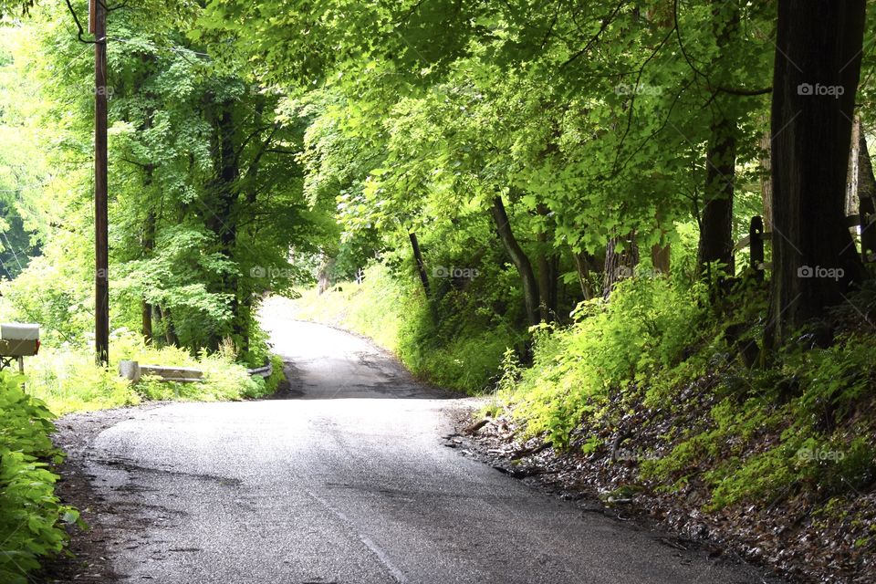 Springtime on a country road 