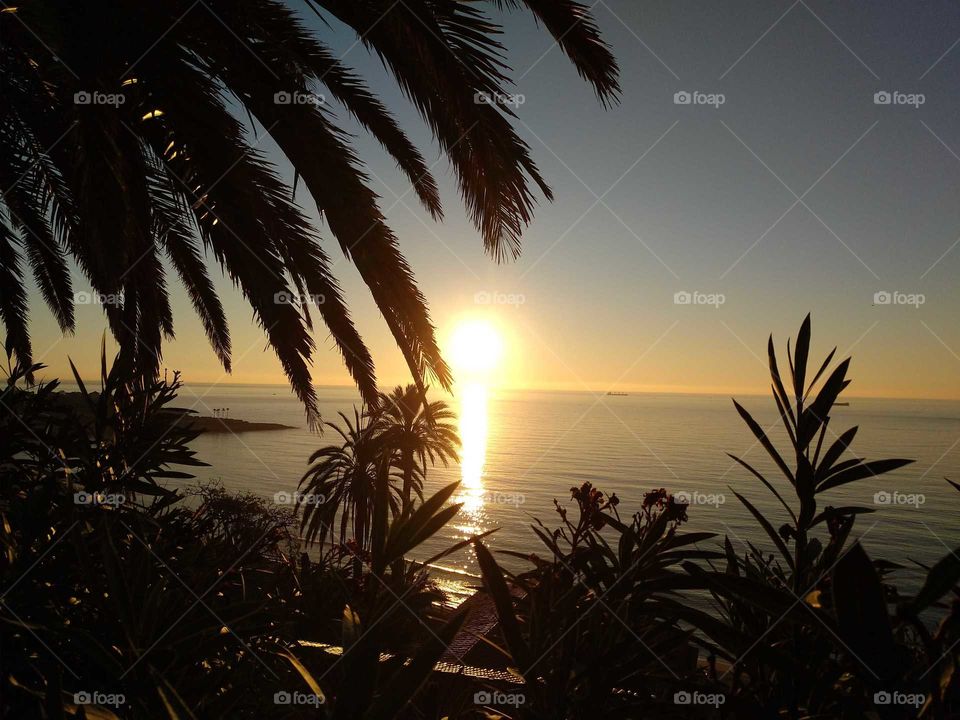 sunrise on the beach