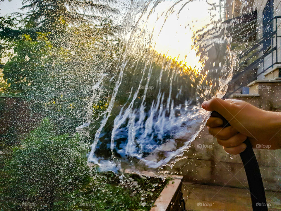 enjoying watering the garden before the 
sunsets as the light breaks into water 
creating it's own unique canvas