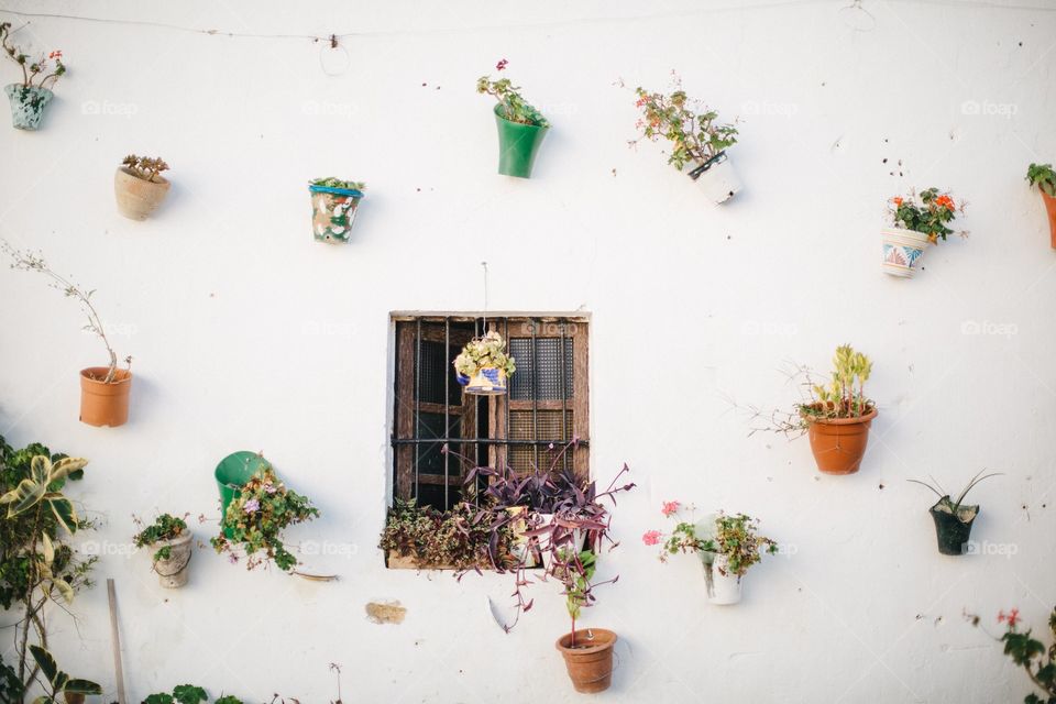 Beautiful window in the south of Spain, surrounded by colorful pots and plants.