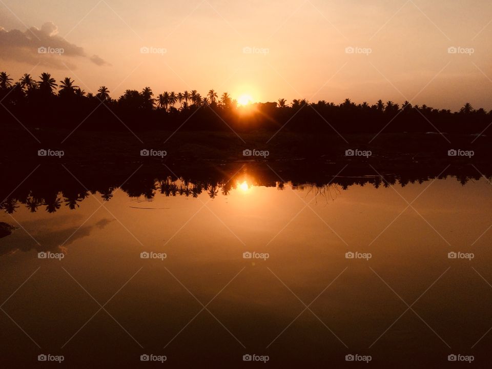 Beautiful reflection in water
