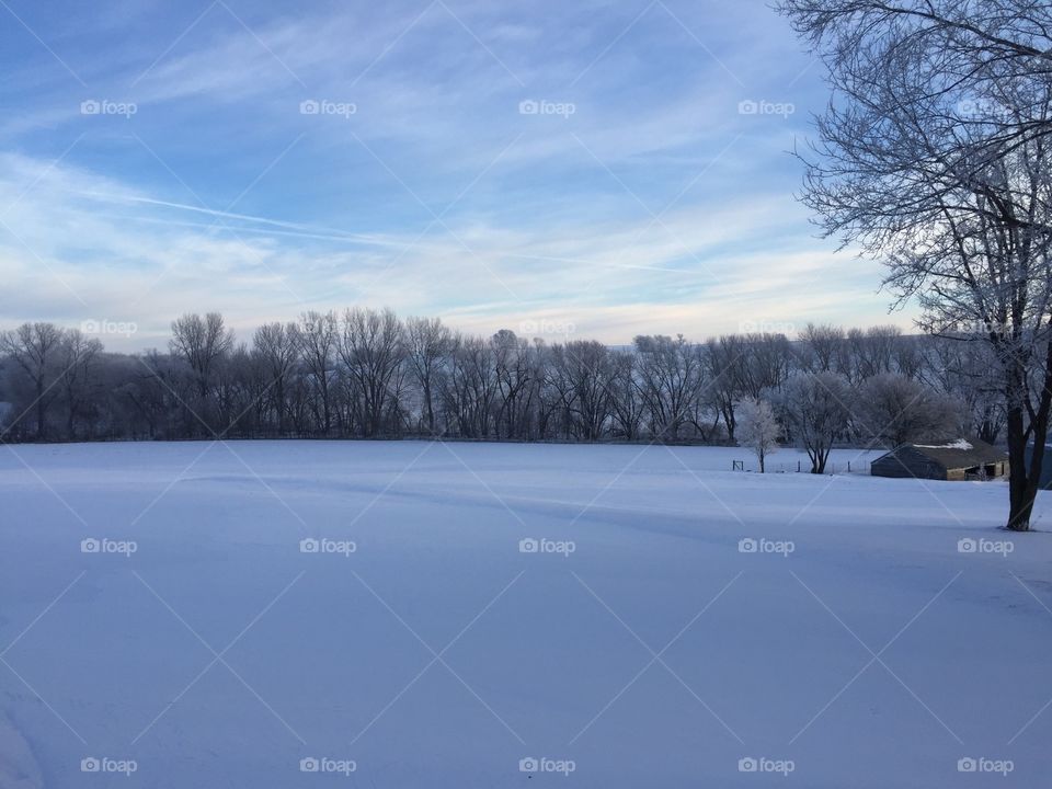 Icy Blue View