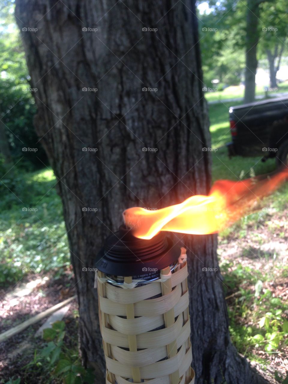 Fire+wood=bigger fire